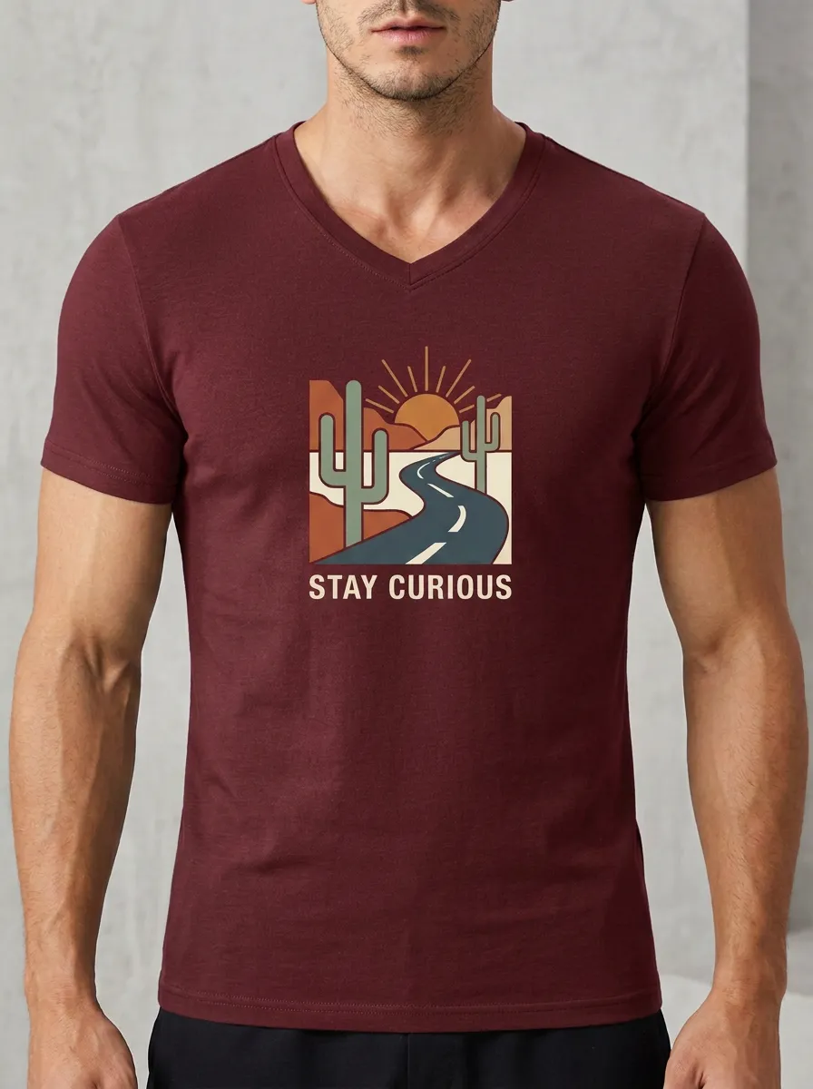 Men's Travel Adventure Stay Curious Cactus Desert Road Printed V-Neck T-Shirt