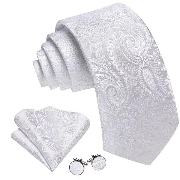 Minimal Paisley Silk Necktie Set