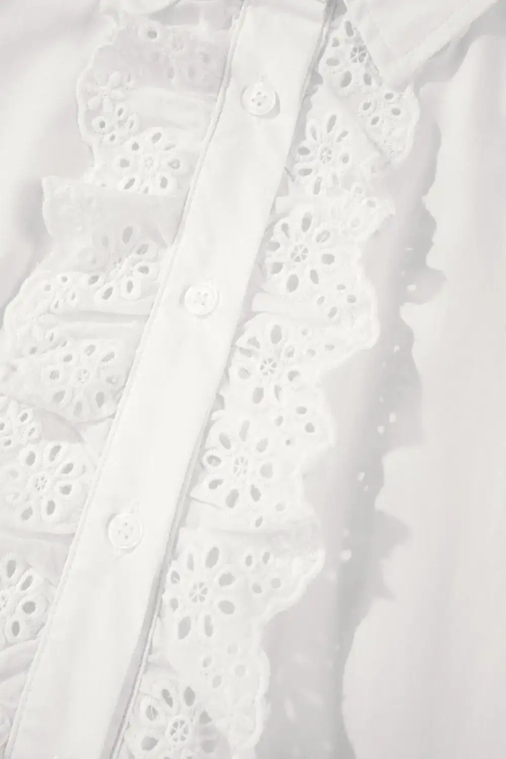 Lace Trim Collared Turn-down Collar Shirt Blouse