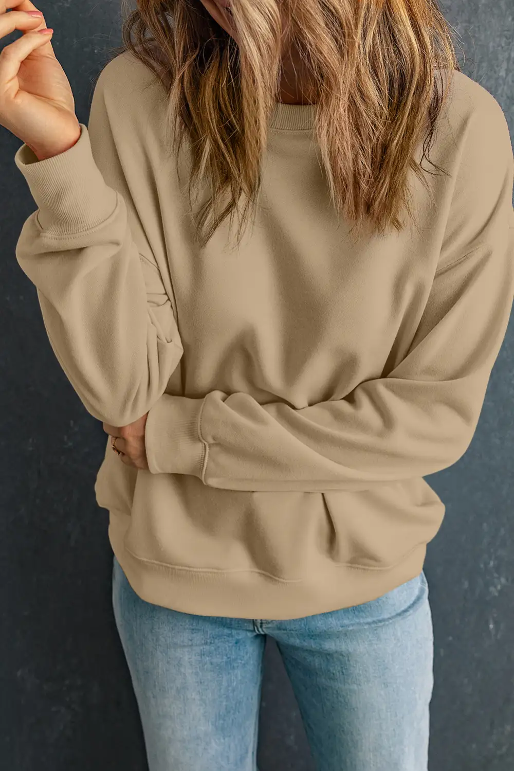 Casual Solid Classic Crew Neck Sweatshirt