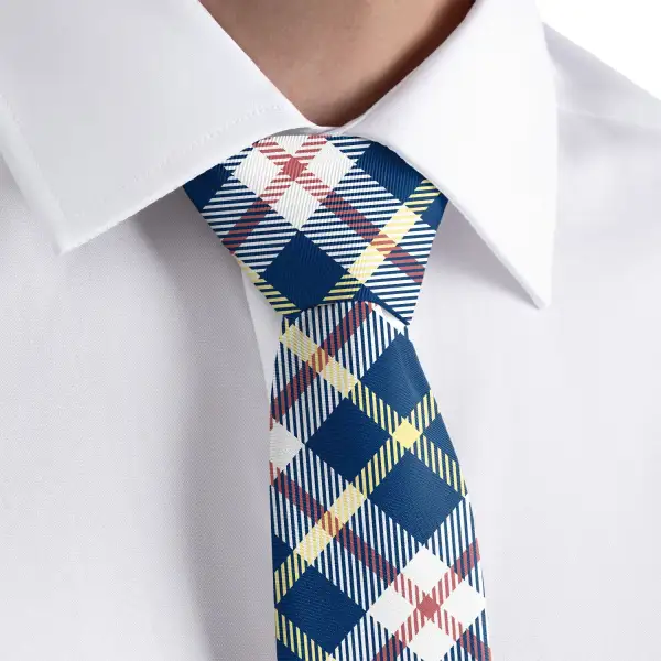 Refined Plaid Accent Necktie