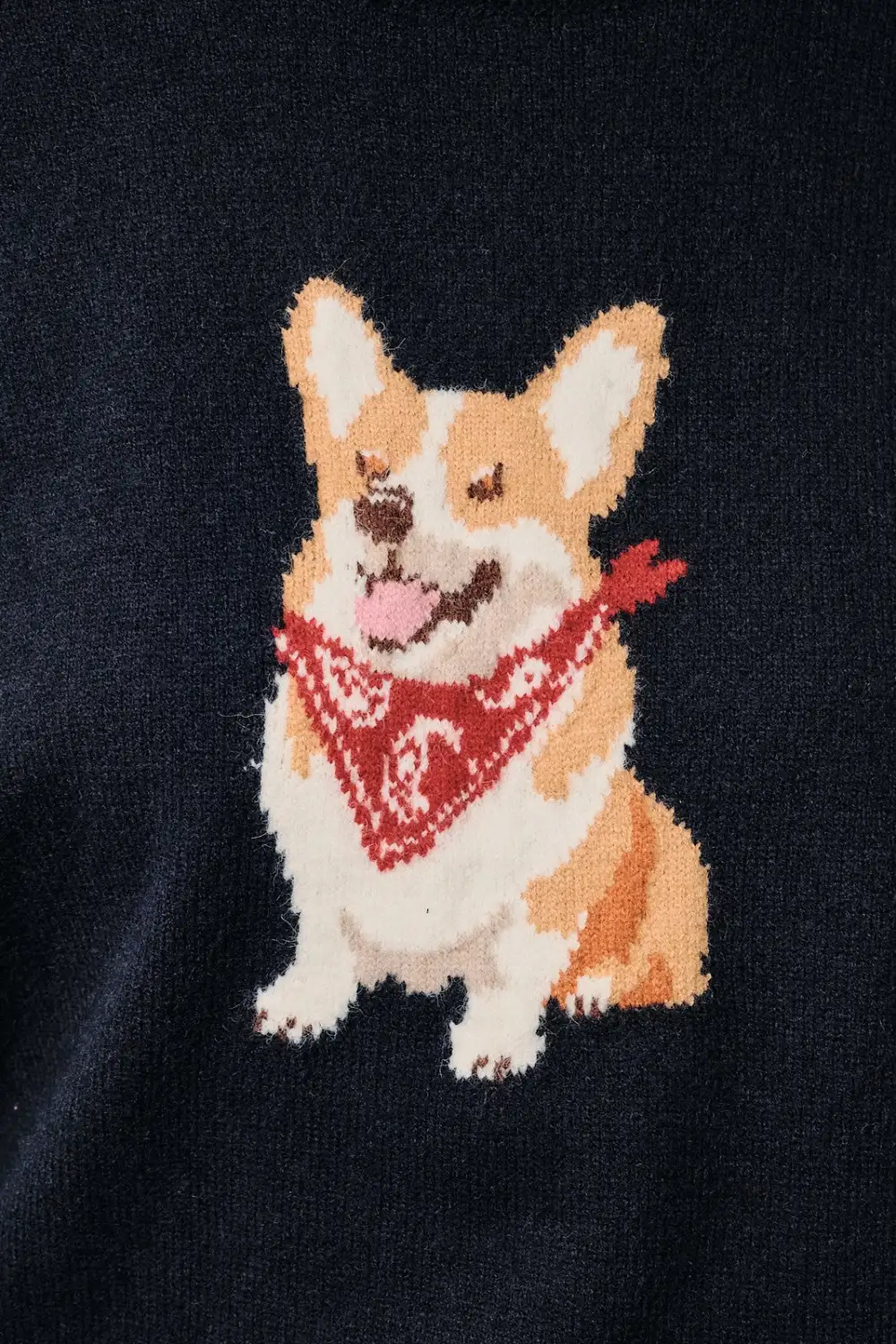 Paisley Dog Sweater