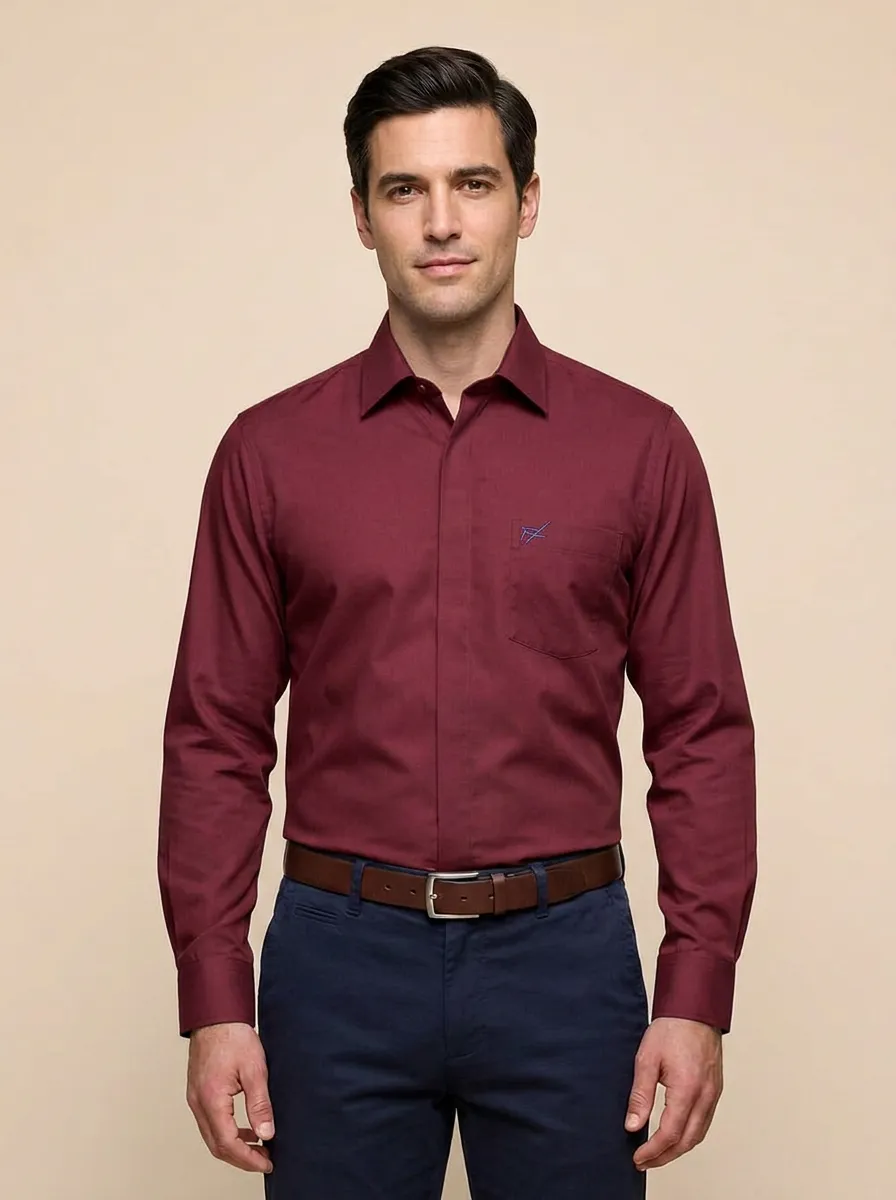 Men's Non-Iron Cotton Light Blue Embroidered Accent Long Sleeve Shirt