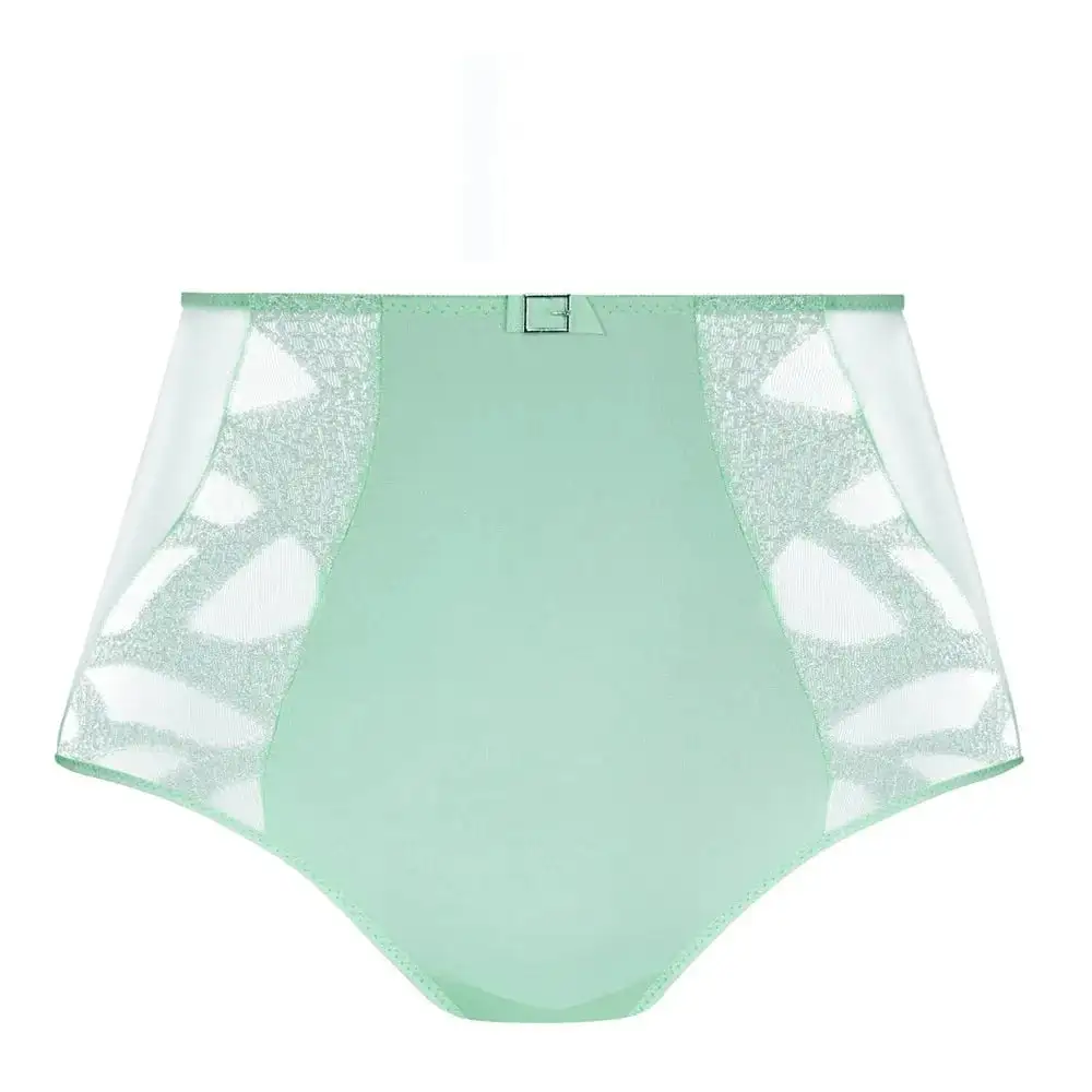 Women's Embroidery Mesh Cutout Detail Lightweight High Waist Panty