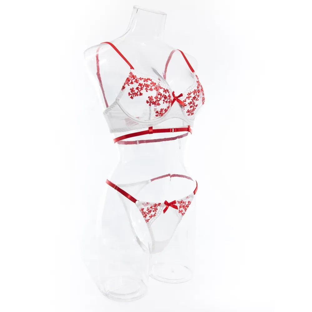 Contrast Embroidered Mesh Coordinated Bra Set