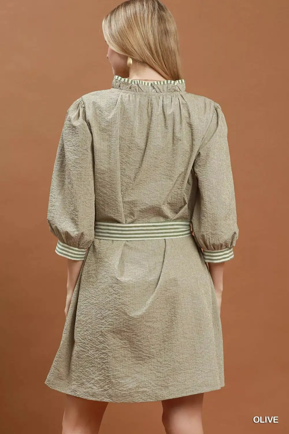 Belted Tie Waist Mini Dress
