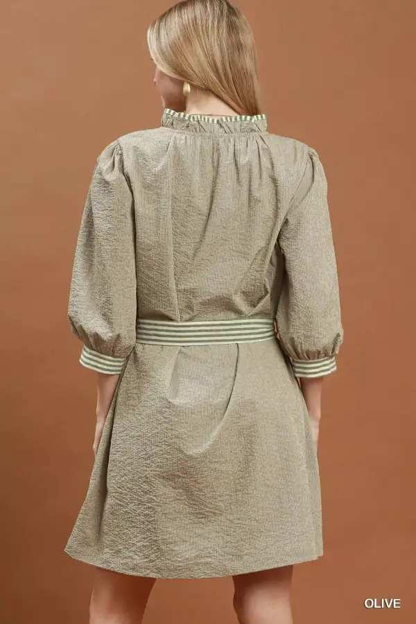 Belted Tie Waist Mini Dress
