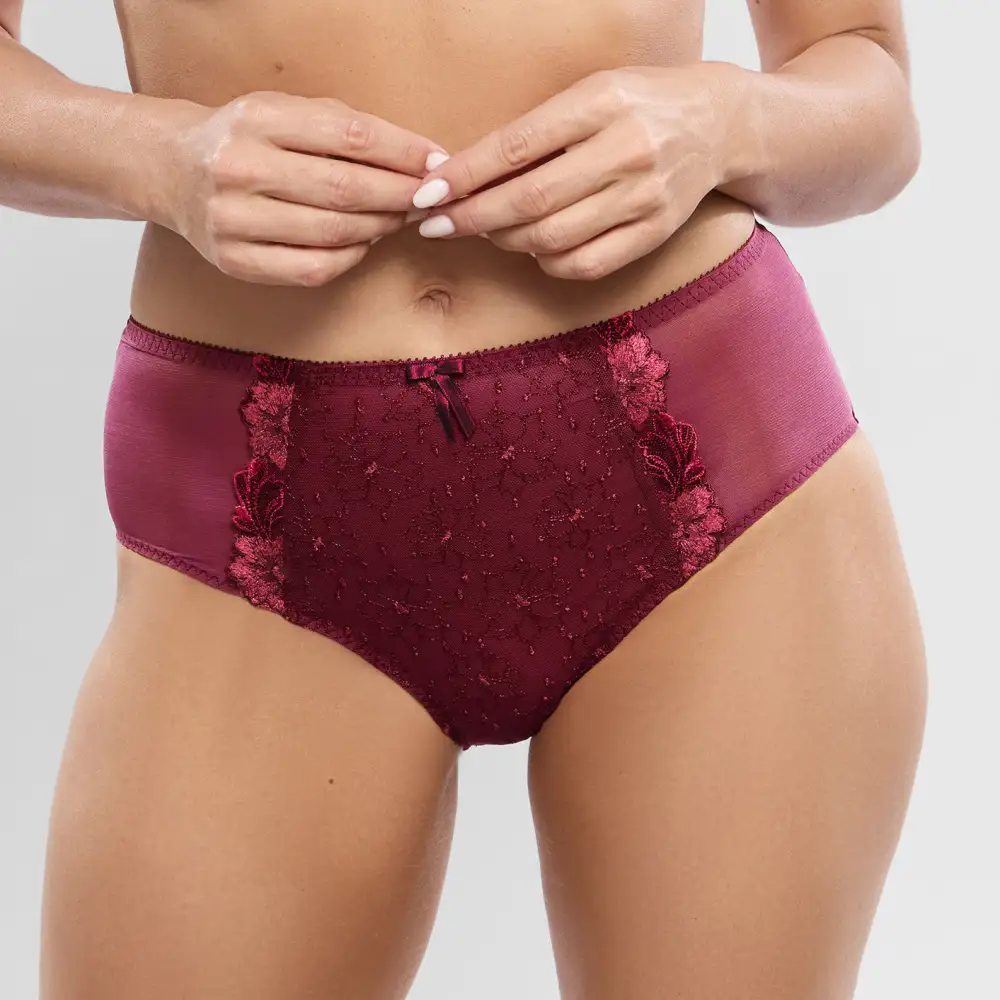 Women's Full Coverage High Waist Elastic Waistband Cotton Gusset Floral Embroidery Mesh Cotton Satin Decorative Bow Soft Fabric Stretch Fit Supportive Fit Brief Panty