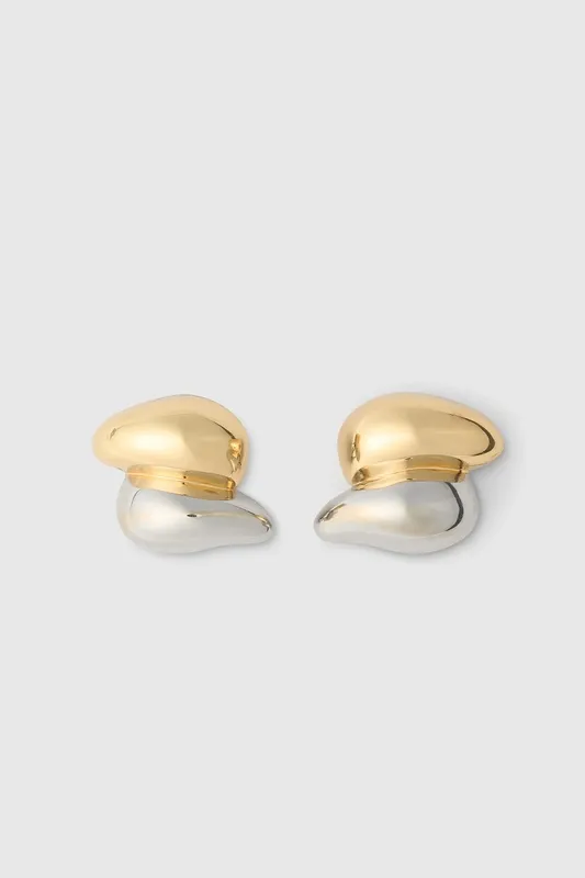Gold Polished Earrings