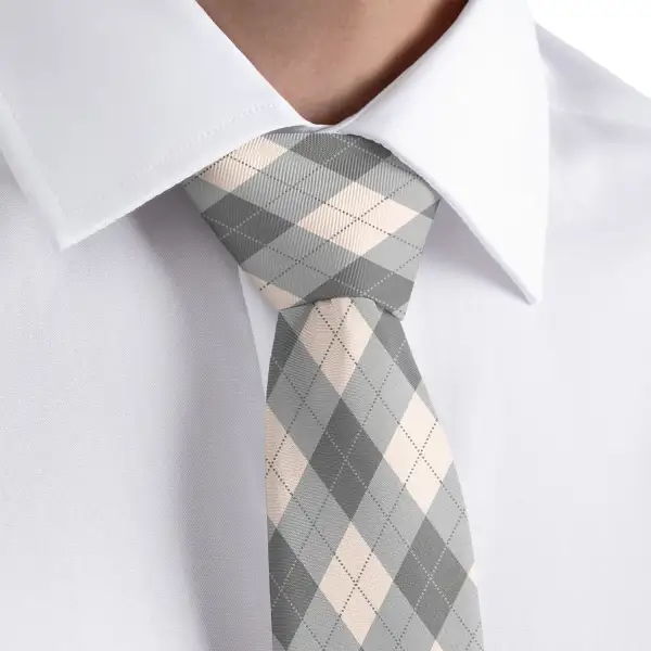 Polished Plaid Detail Necktie