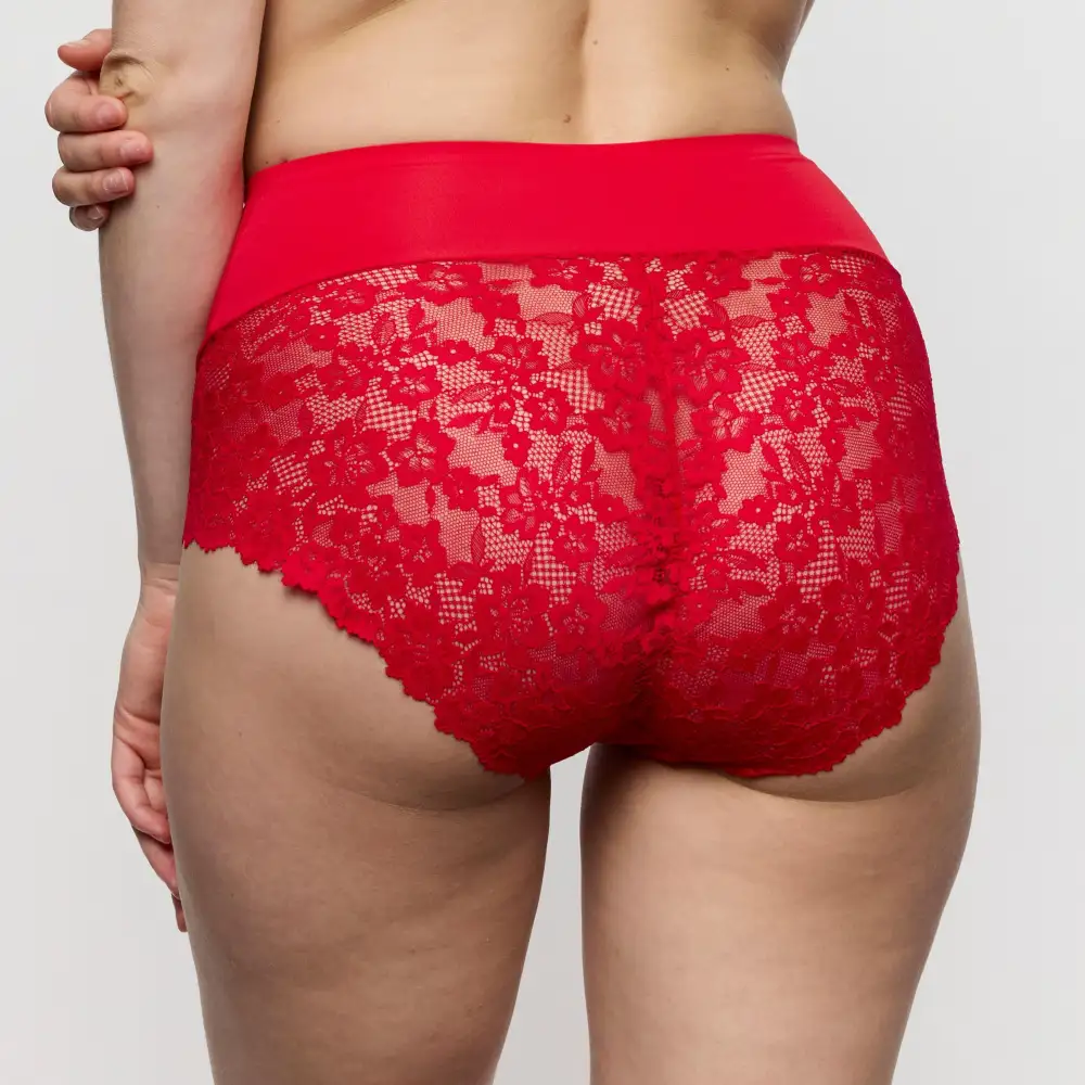 Women's Full Coverage Seamless Bonded Edge Elastic Waistband Cotton Gusset Floral Lace Cotton Retro Detail Soft Fabric Stretch Fit High Waist Panty