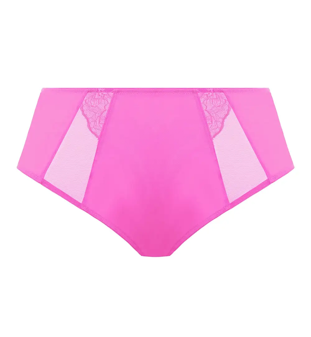 Modern High-Waist Lace Mesh Full-Coverage Brief Panty
