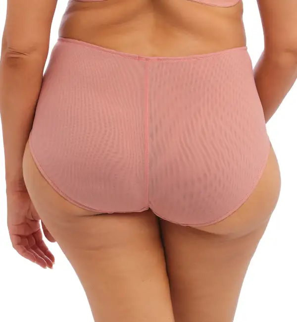 Everyday High-Waist Lace Mesh Full-Coverage Brief Panty