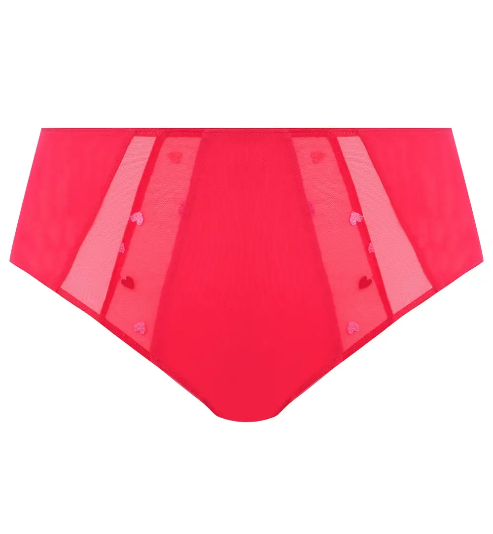 High-Waist Mesh Embroidered Full-Coverage Brief Panty