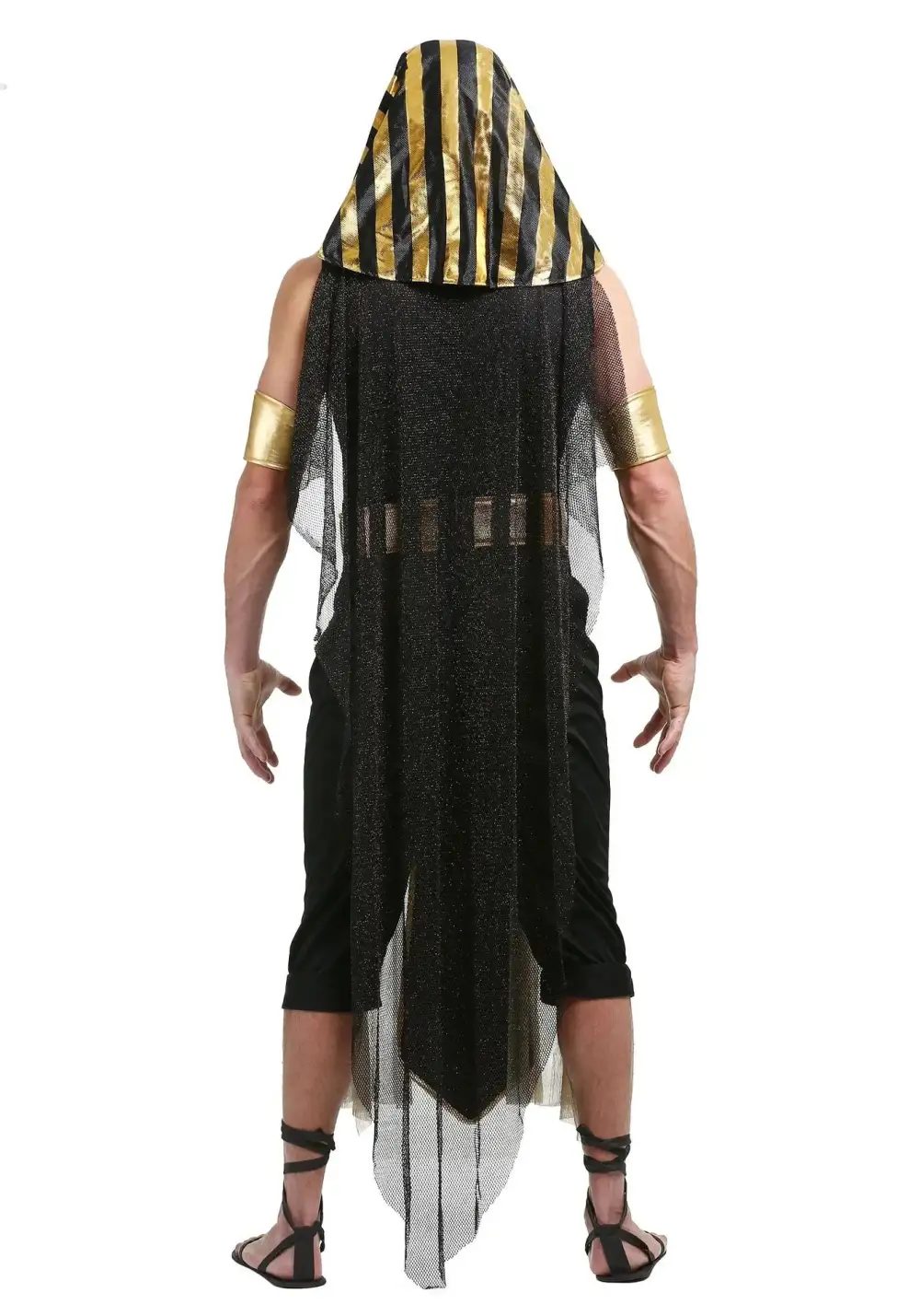Regal Pharaoh Costume Set