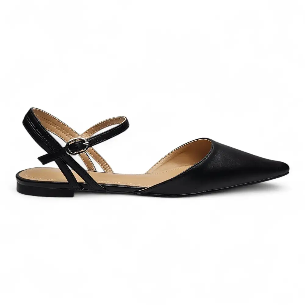 Wise Pointy Toe Ballet Flat