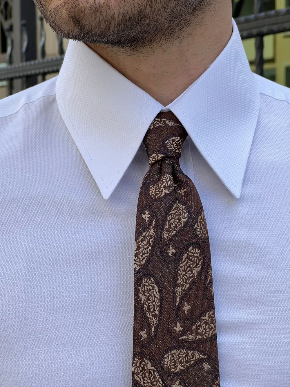 Classic Point Collar Slim Fit Cotton Casual Shirt