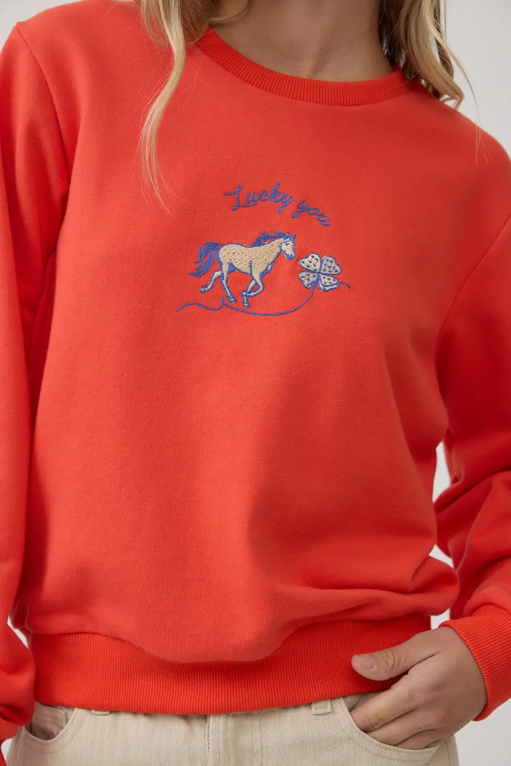 Embroidered Crew Neck Soft Western Sweatshirt
