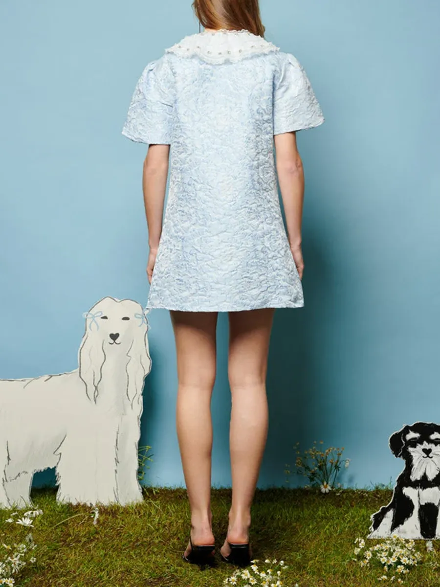 Crew Neck Jacquard Mini Dress