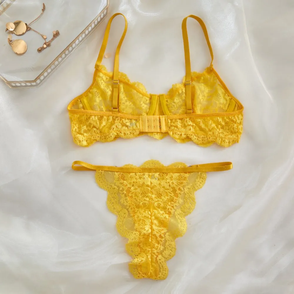 Sheer Lace Suspender Bra And Panty Set