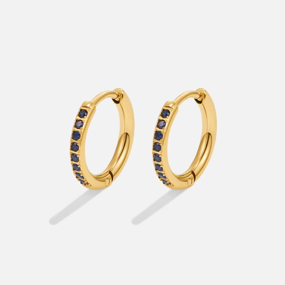 Elegant Hoop Earrings