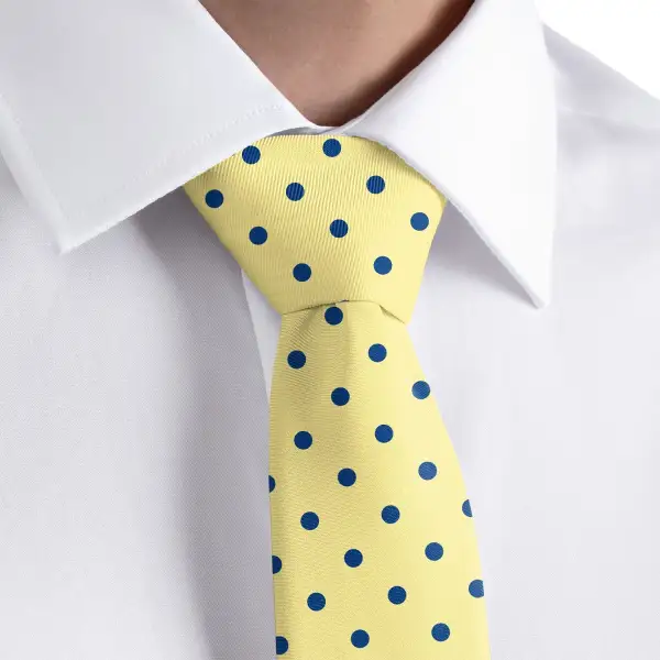 Refined Dot Texture Necktie