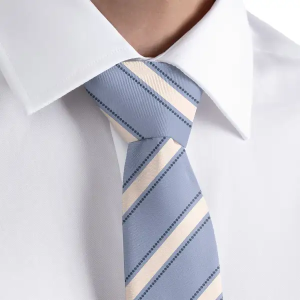 Modern Stripe Detail Necktie