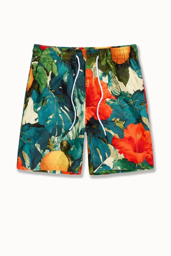 Men's Above Knee Shorts