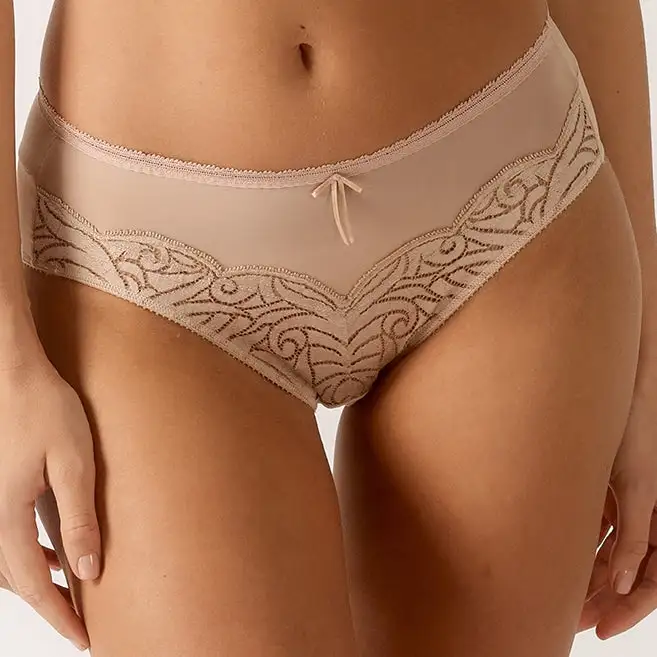 Women's Lace Mesh Sheer Detail Satin Decorative Bow Brief Panty