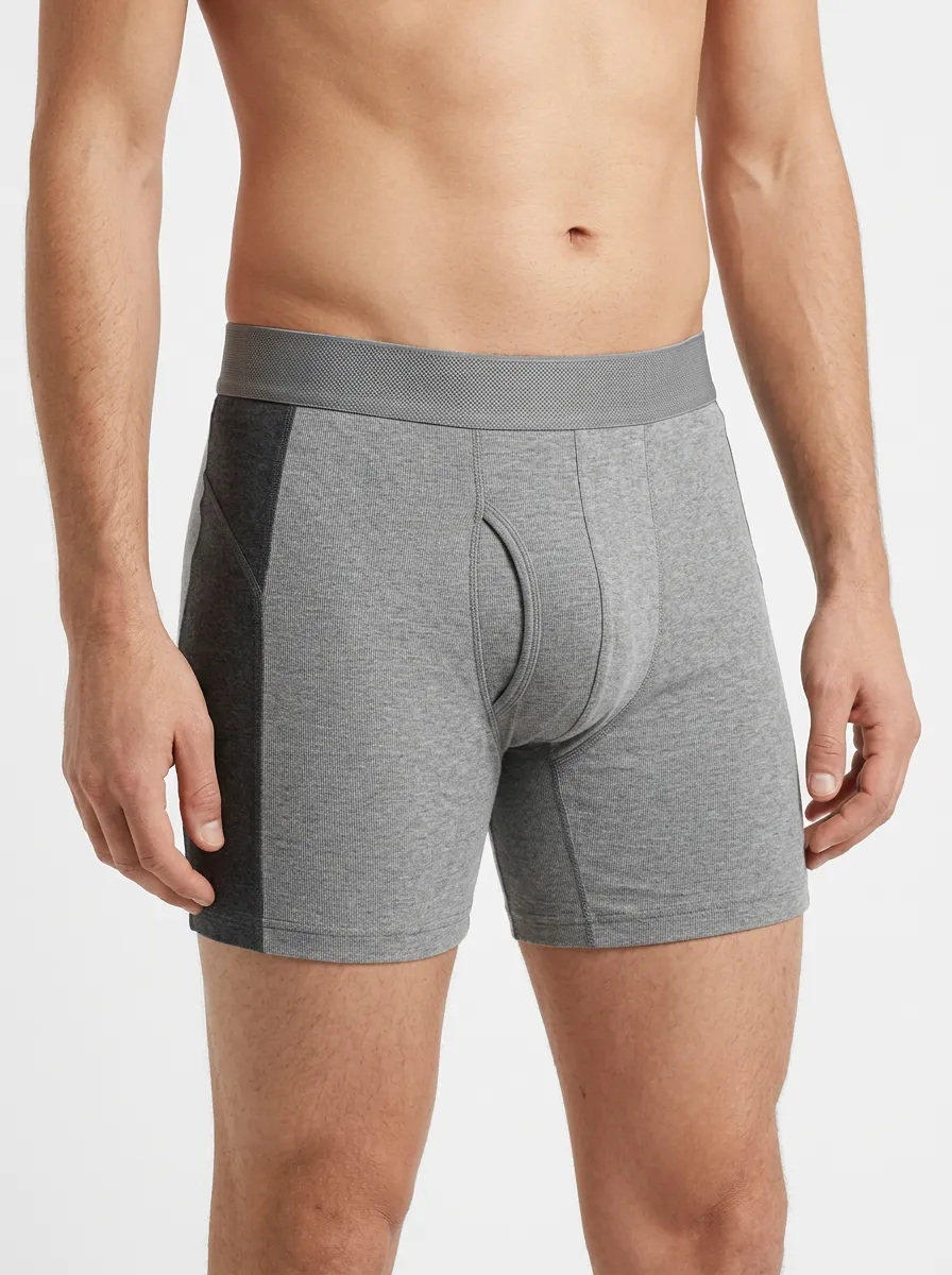 Casual Colorblock Daily Wear Men's Boxer Briefs