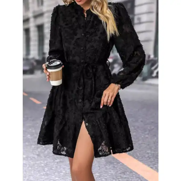 Lace Button Down Long Sleeve Mini Dress