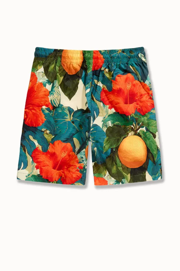 Men's Above Knee Shorts
