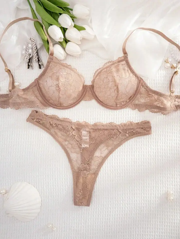 Delicate Lace Sheer Bra And Panty Set