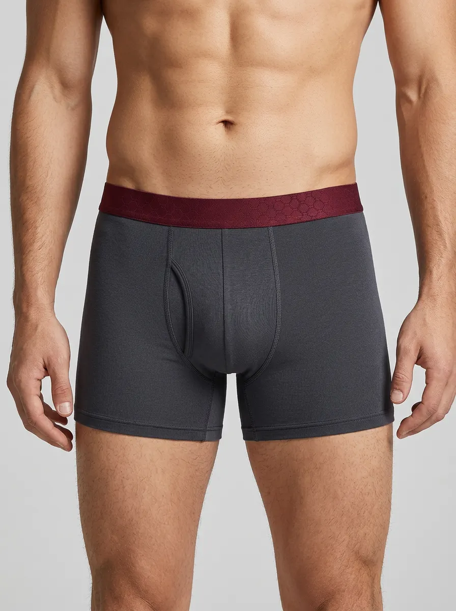 Flexible Waistband-Detail Detail Men's Boxer Briefs