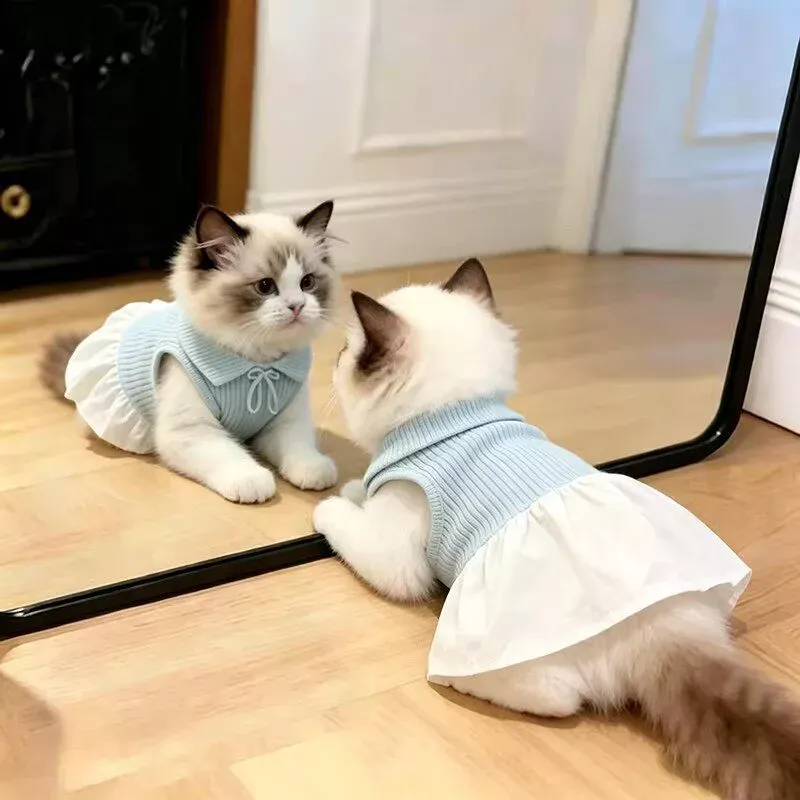 Cute Pet Clothes Summer Pet Lightweight Sleeveless Dress With Polo Collar For Small Dogs Cats
