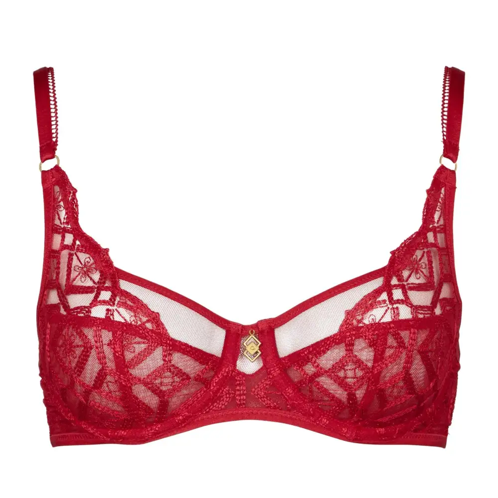 Women's Plunge Full Coverage Embroidery Mesh Sheer Detail Bra