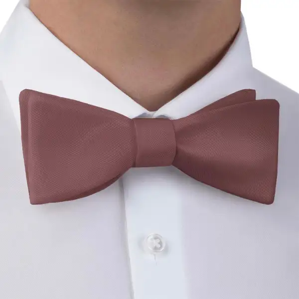 Playful Solid Motif Bow Tie