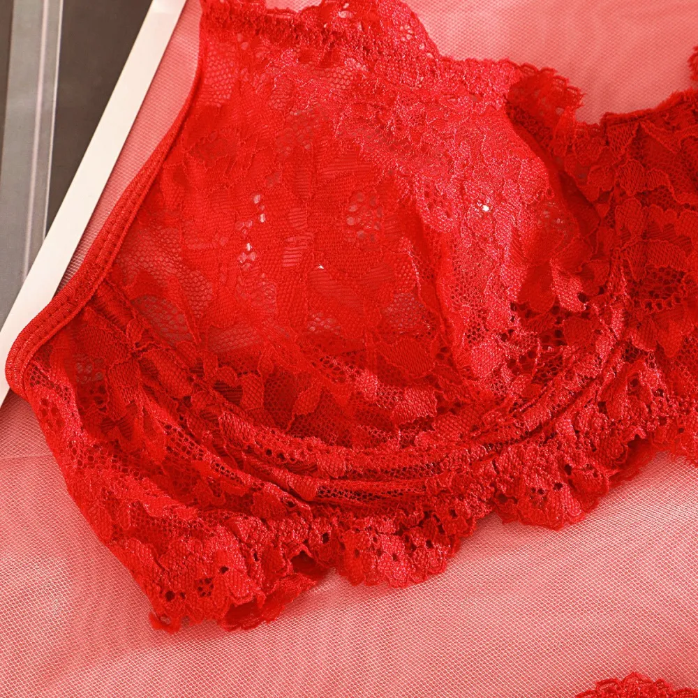 Sheer Lace Suspender Bra And Panty Set