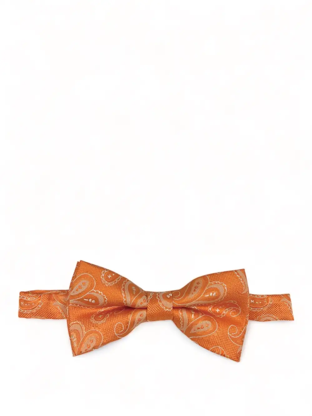 Modernist Paisley Polyester Pre-Tied Bow Tie