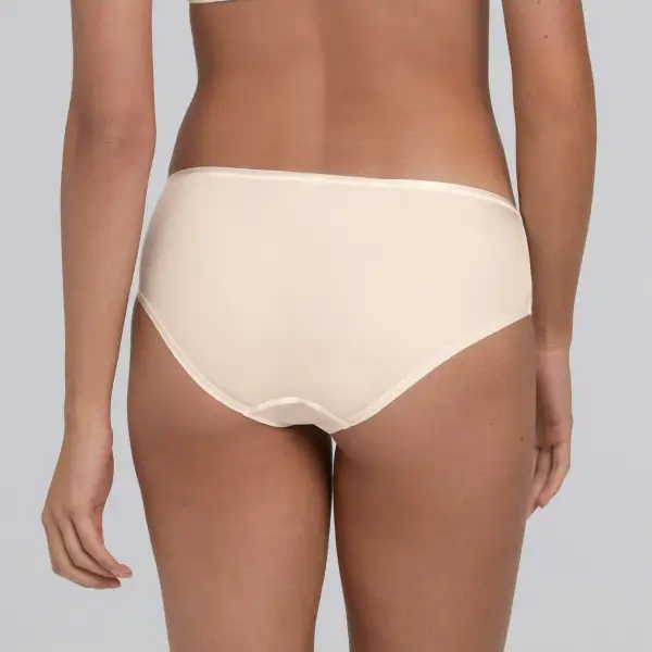 Women's Brief Panty With Lace Mesh