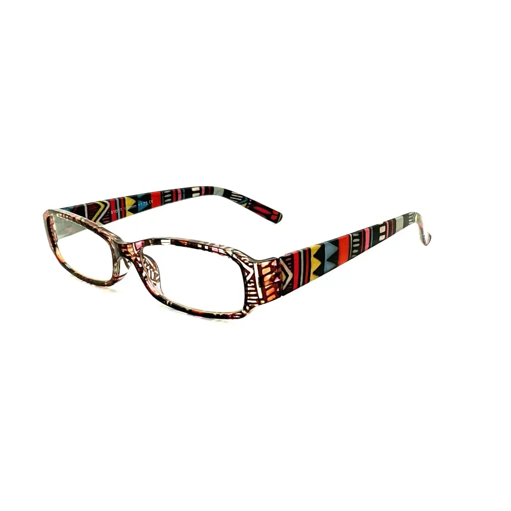 Aztec Print Reading Glasses with Matching Case