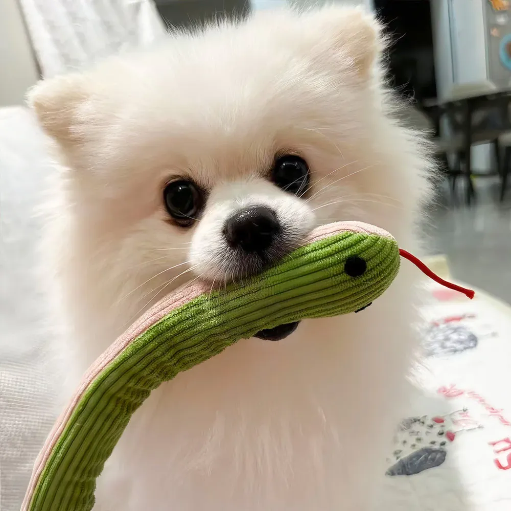 Squeaky Pet Toy Snake Dog Toy Wiggly Snake Chew Toy Teething & Boredom Relief for Small & Medium Dogs