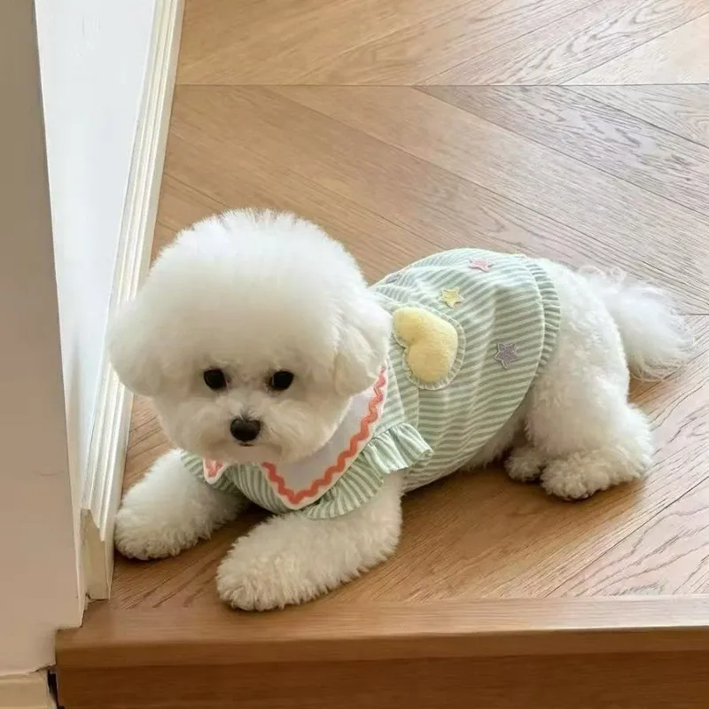 Summer Thin Pet Skirt Teddy Bichon Cat Small Dog Poodle Pomeranian Pomeranian Maltese Dog Clothes