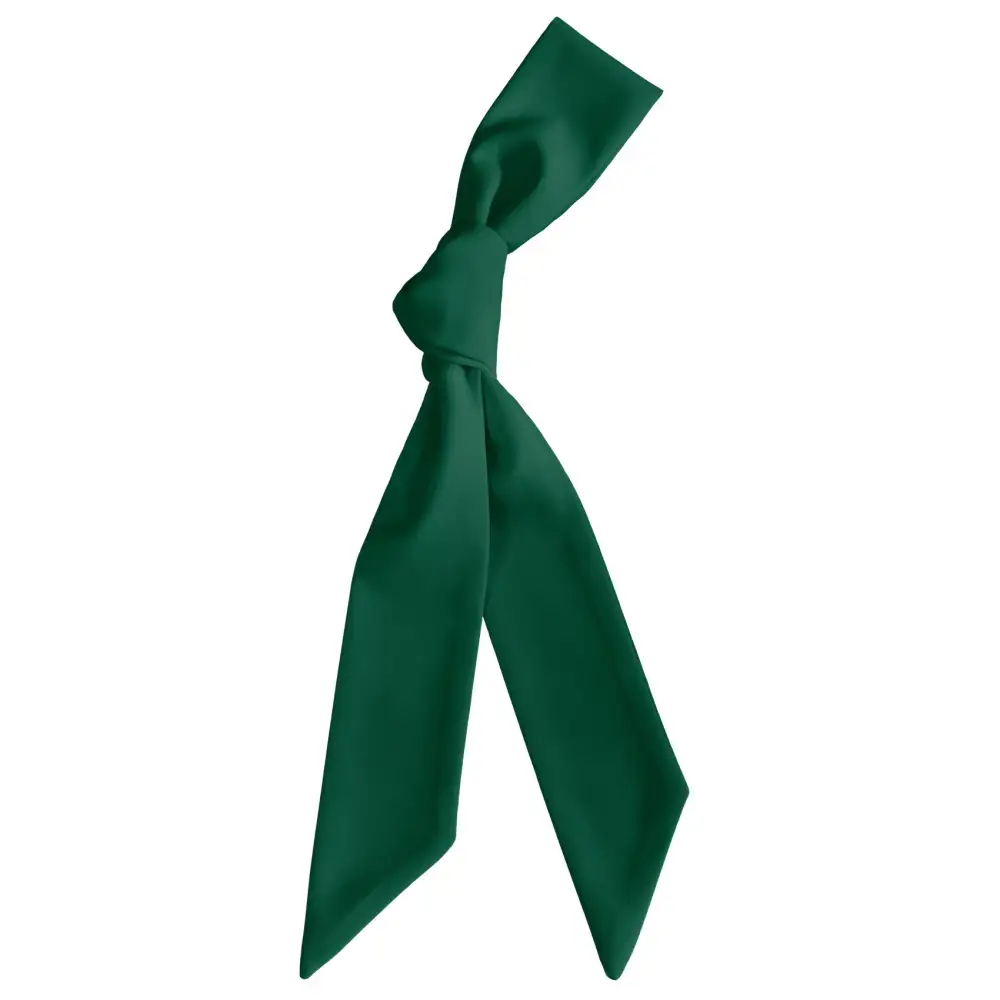 Soft Polished Hair Scarf