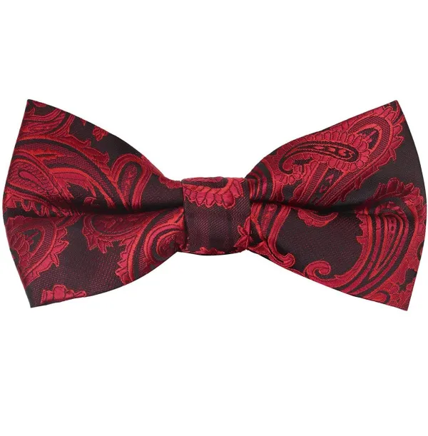 Sleek Paisley Polyester Bow Tie