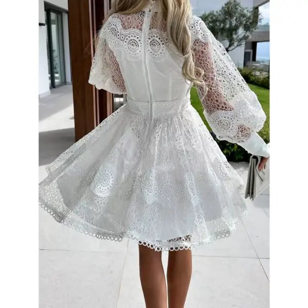Soft Everyday Lace Lantern Sleeve Mini Dress