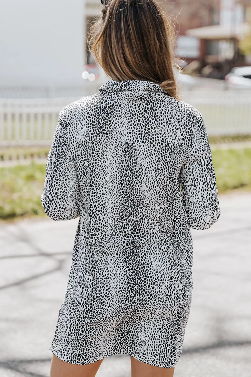 Animal Print T-Shirt Long Sleeve Mini Dress
