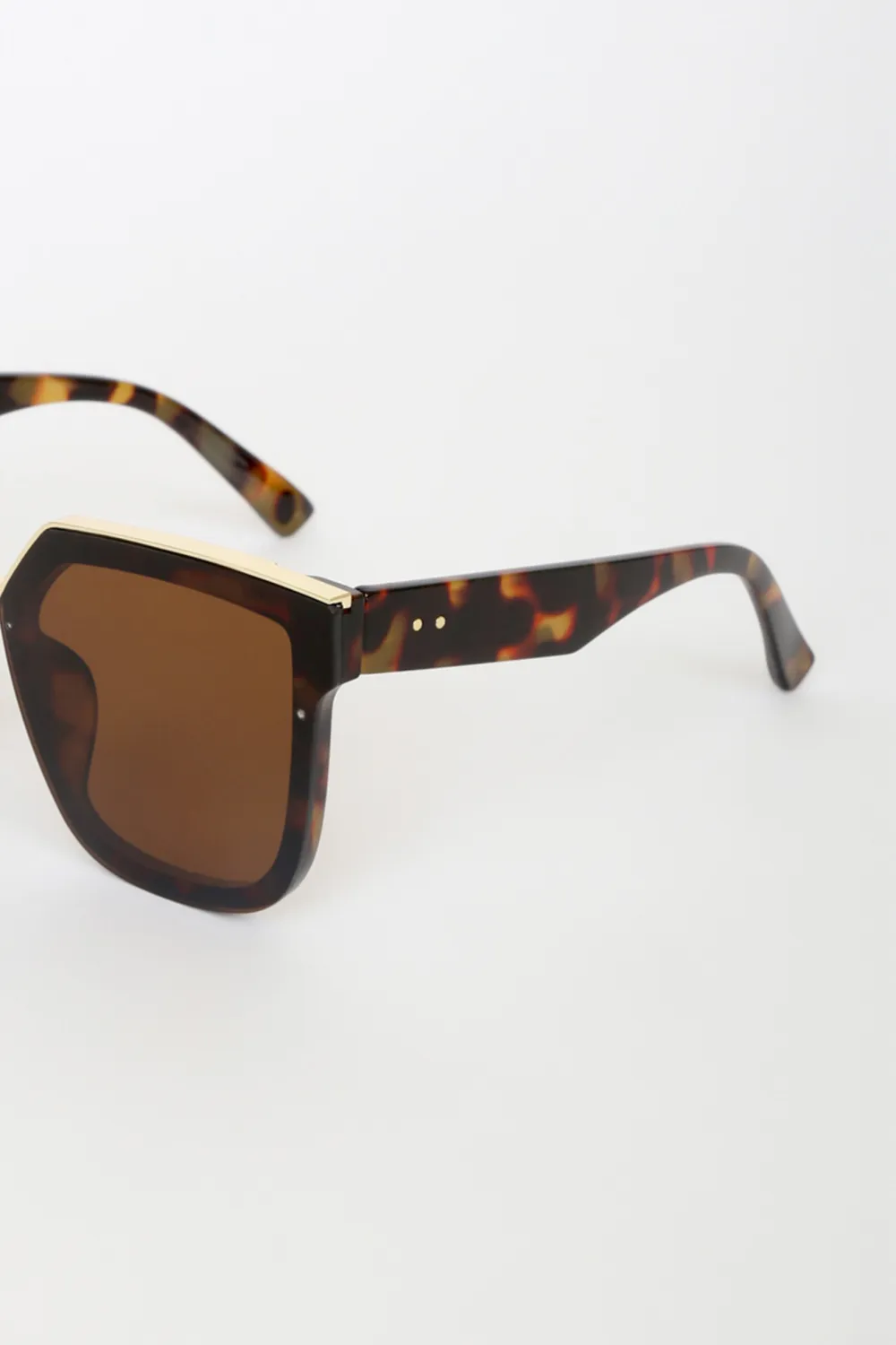 Casual Cool Brown Square Sunglasses