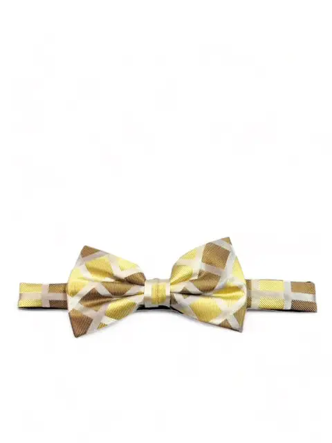 Timeless Checkered Silk Bow Tie Set
