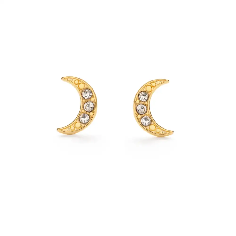 Moon Stud Earrings
